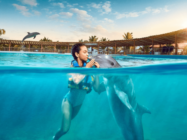 Mulher beijando Golfinho no passeio de Nado com golfinhos
