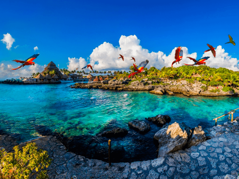 X-caret