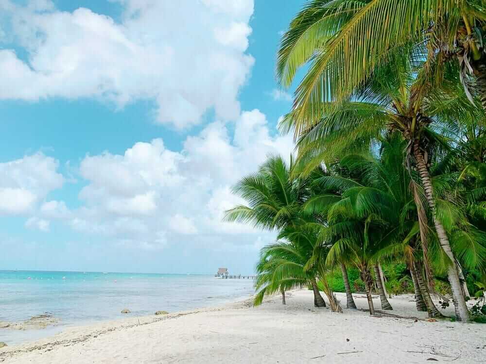 Cozumel Jeep Tour