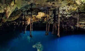Tour Xenotes